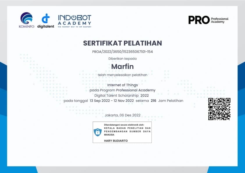 Internet of Things Professional Academy